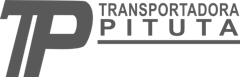 Pituta